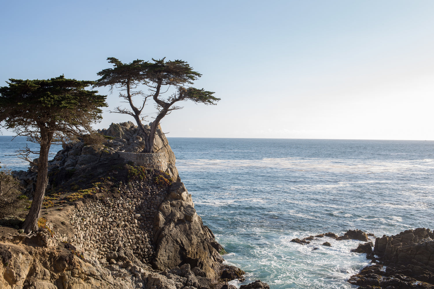 Picture of trees on edge of the coastline. Clear day with small waves.